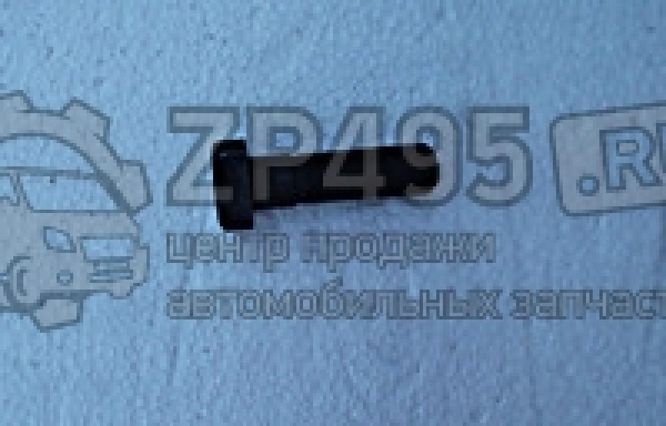 : 6501404 0014649     /   31105 . (, ,,,,, , NEXT, NEXT) ryazan.zp495.ru