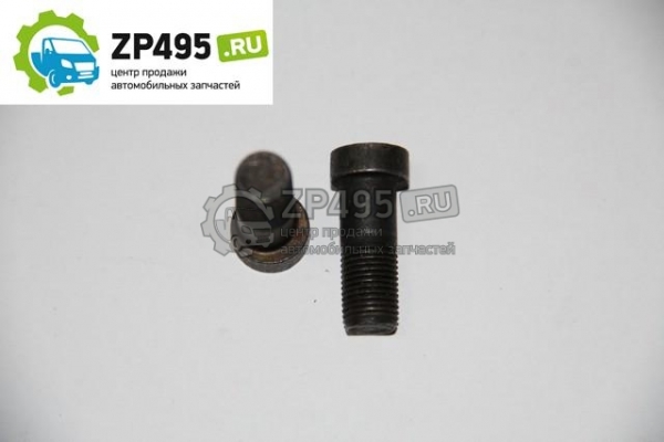 : 242403034 0005582  10*28/26*1  .    3110 ryazan.zp495.ru