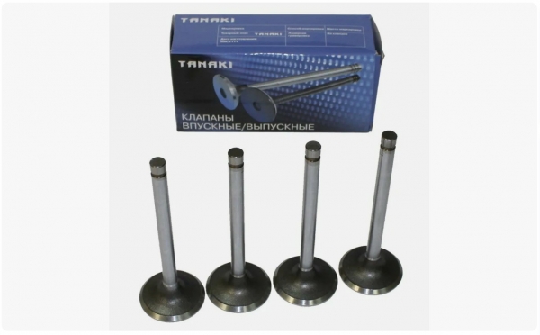 : TKG100701560 0003214   -2410,  Next .EvoTech 2.7 (939)  4.   (, ,,,,, , NEXT, NEXT) ryazan.zp495.ru