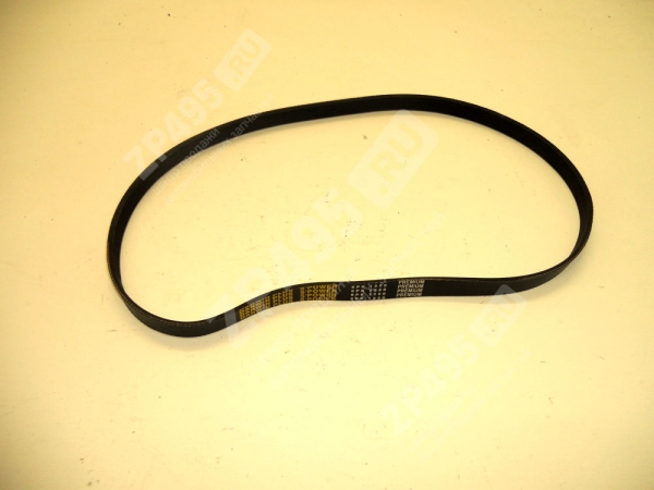 : 6PK1220 0015204  1220 DARWIN PLUS   /406-1308020-11/ (, ,,,,, , NEXT, NEXT) ryazan.zp495.ru