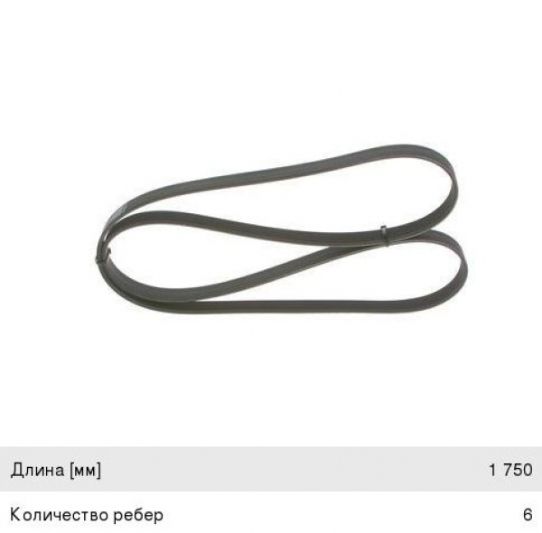 : 6PK1750 0015288   -31105,  .  (6PK-1750) DARWIN (, ,,,,, , NEXT, NEXT) ryazan.zp495.ru