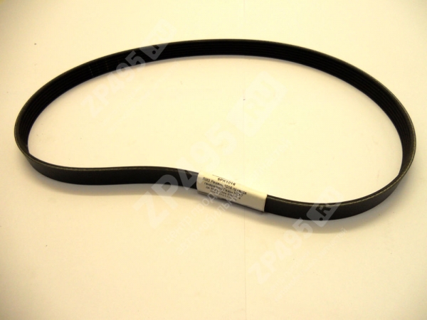 : 6PK1016 0024629       next .-5344 -4 RUBENA 5340-3701170-10 (, ,,,,, , NEXT, NEXT) ryazan.zp495.ru