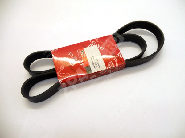 : 7PK1325 0031755  -3163  .IVECO  7PK1325 LINK ryazan.zp495.ru