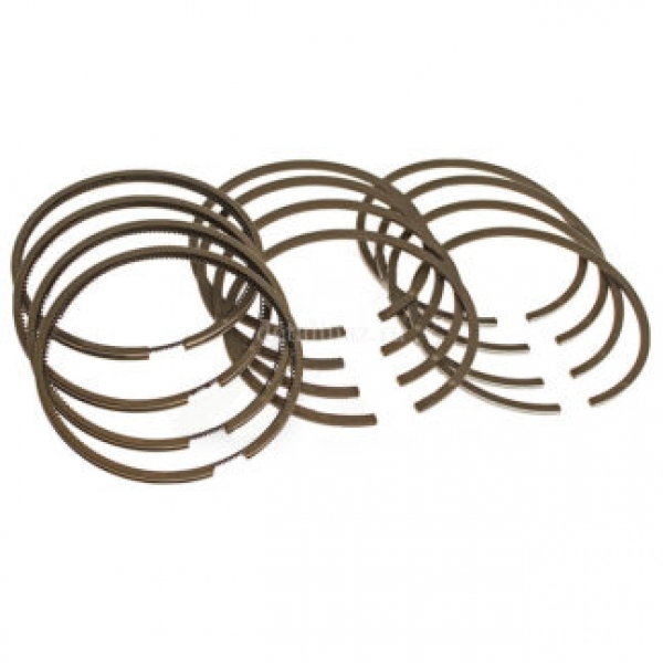 : KNG100010079 0069946   . - 101,0 mm   . -4216; EURO-IV 42164.1004023-, 4216-40-1004023- ryazan.zp495.ru